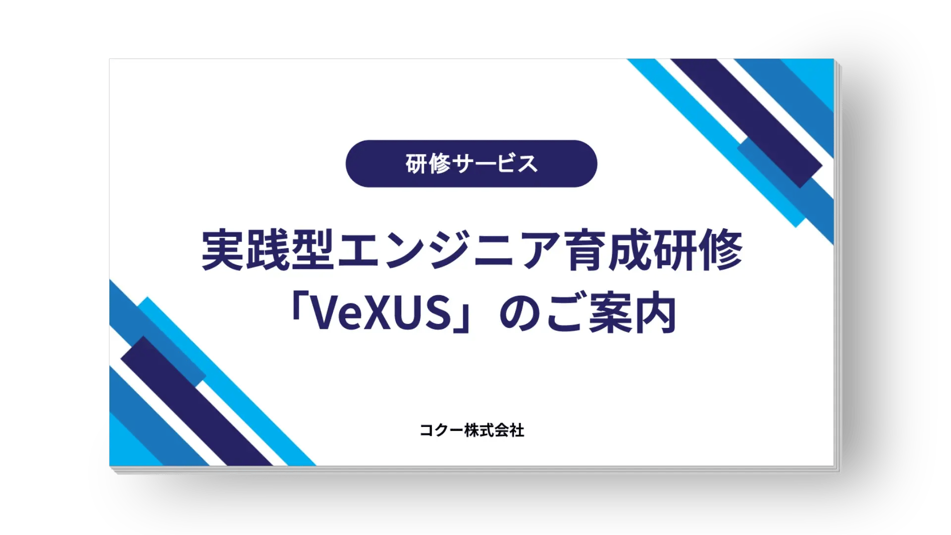 研修サービス「VeXUS」についてのご案内資料表紙